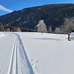 Muehlebnerhof Apartment Ramsau am Dachstein