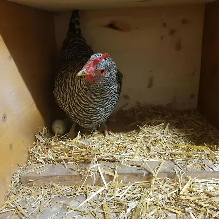 Muehlebnerhof Apartament *