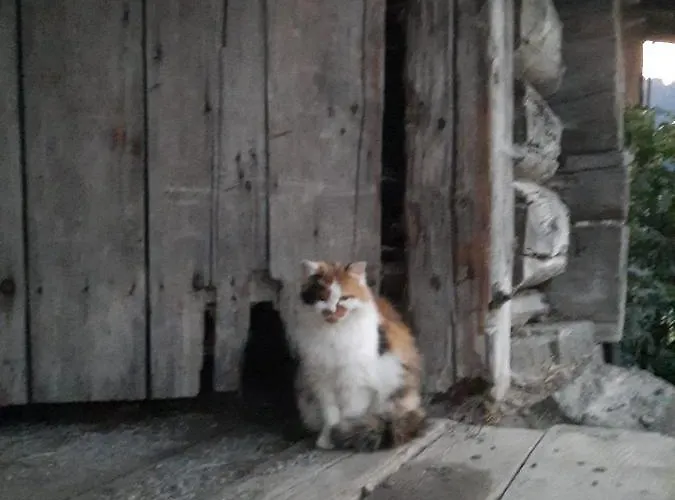 Muehlebnerhof Ramsau am Dachstein